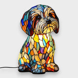 Anıl | Dostluğun Tatlılığı